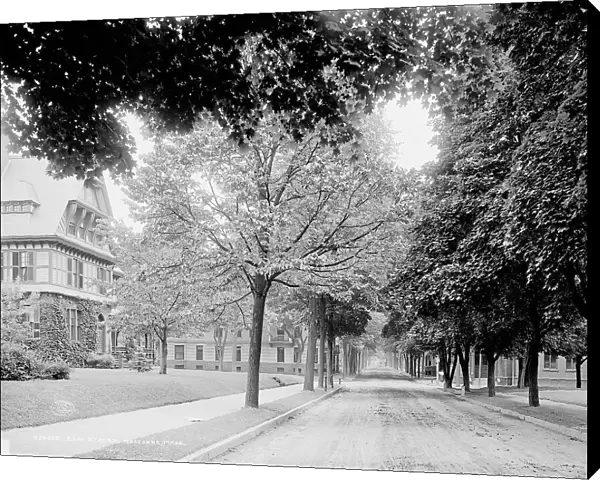 Elm Street, Holyokke [sic], Mass. c1908. Creator: Unknown