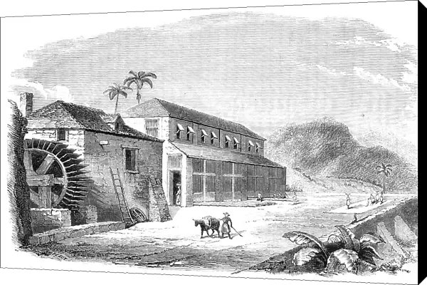 A Bocan, or Cocoa-Drying House in Granada, 1857. Creator: Percy