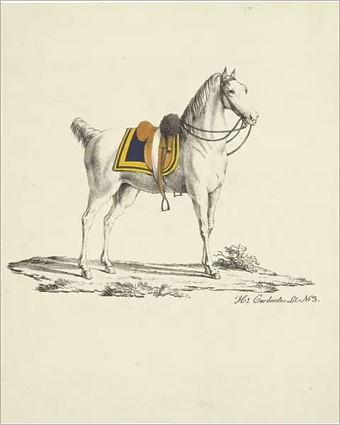 Horse with saddle and bridle, 1809-1854. Creator: Hermanus Carbentus