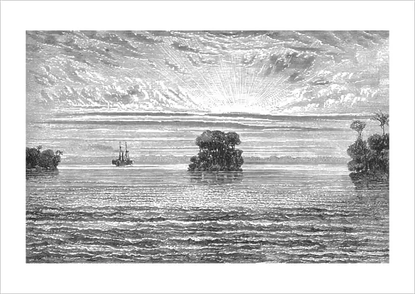 View in the Delta of the Orinoco; A Journey up the Orinoco, 1875. Creator: Unknown