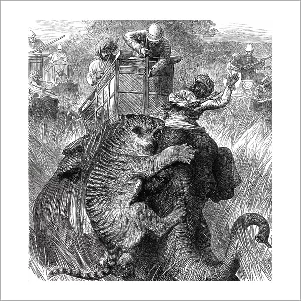 The Prince of Wales in the Nepaul Terai: Colonel Sir Arthur Ellis...with a Tiger...1876. Creator: Unknown