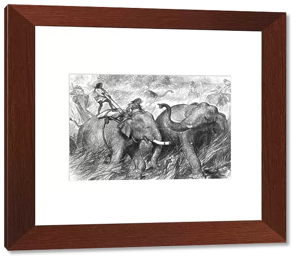 Tame Elephants hunting a Wild Elephant, from a sketch by one of our special artists in India, 1876. Creator: Unknown