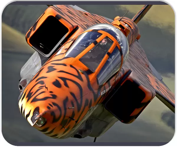 A specially painted Jaguar aircraft takes to the skies over RAF Coningsby for a final