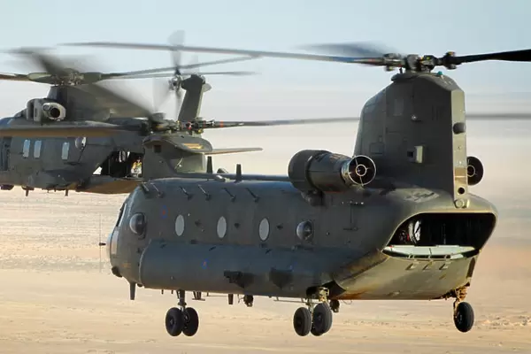 RAF Merlin and Chinook Helicopters During Exercise Desert Vortex in the Middle East
