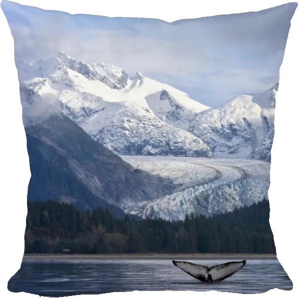 The Fluke Of A Humpback Whale Emerges Briefly From The Water Near Herbert Glacier. Summer In Southeast Alaska. Composite