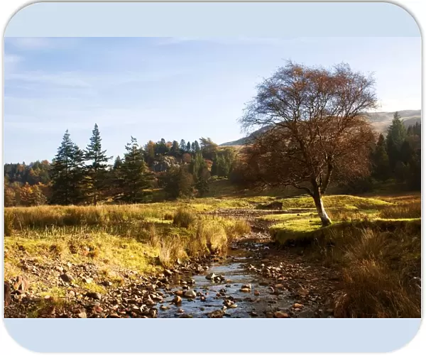 Landscape In Scotland