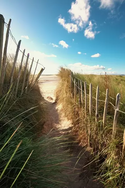 Pathway To The Beach, Beadnell, Northumberland, England