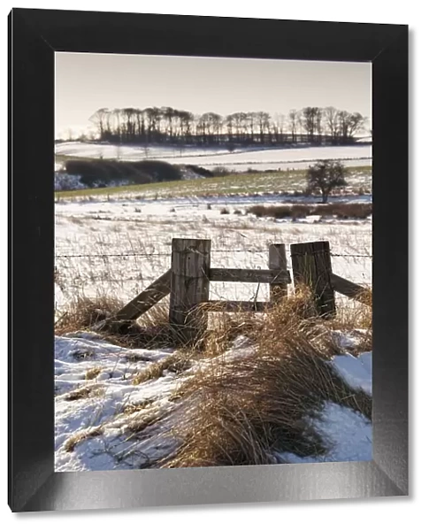 Alnmouth, Northumberland, England; A Field With A Trace Of Snow