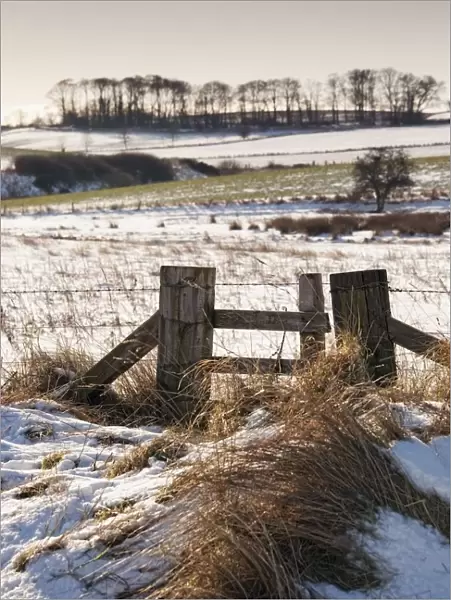 Alnmouth, Northumberland, England; A Field With A Trace Of Snow