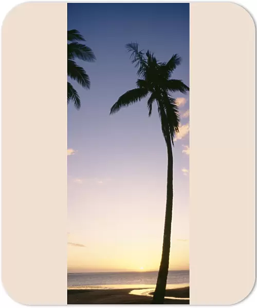 Palm Trees Silhouetted On Beach At Sunset; Fiji