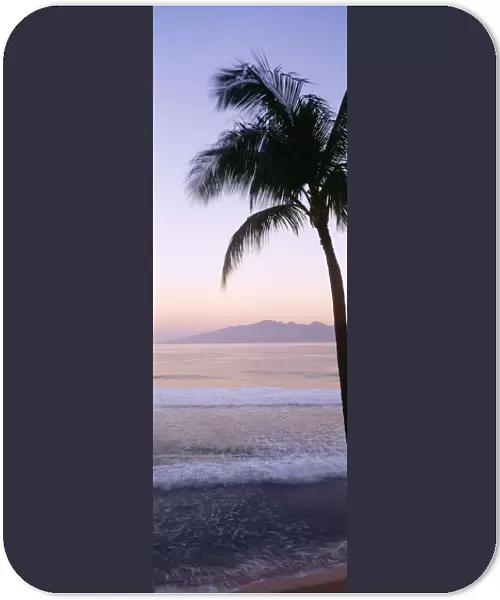 USA, Hawaii, Molokai In Background; Maui, Palm Tree Along Shoreline, Maui Beach At Twilight