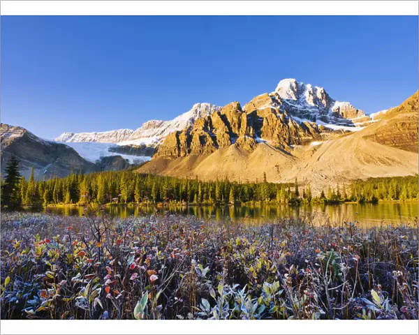Artists Choice: Bow Lake And Crowfoot Mountain At Sunrise In Fall, Banff National Park, Alberta