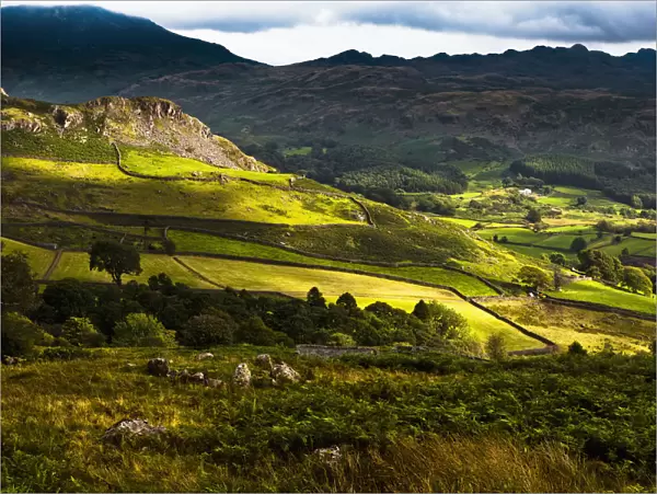 Langdale Hills Of Western Lake District; Cumbria, England, Uk