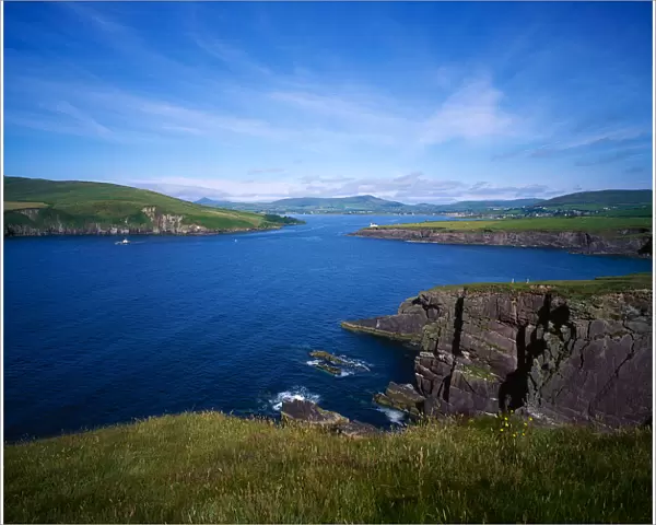 Dingle Harbour, Dingle Peninsula, Co Kerry, Ireland; Atlantic Coast Of Ireland