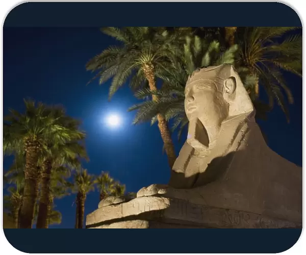 Sphinx And Date Palms With Full Moon Behind
