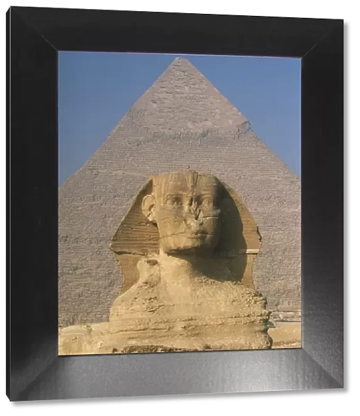 Sphinx In Front Of Great Pyramid Of Chephren