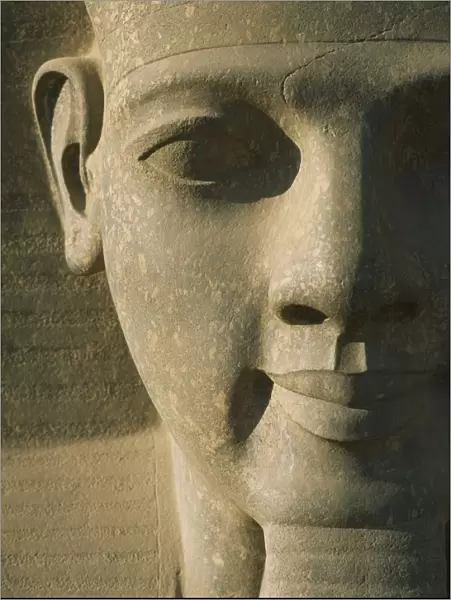 Detail Of Pharaoh Head