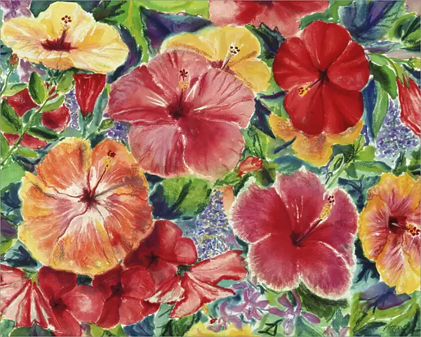 Hibiscus Impressions, Floral Arrangement With Hibiscus Blossoms (Mixed Media: Watercolor And Pastel)