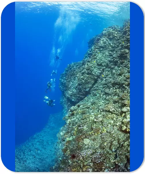 Divers on Backwall, Molokini, Hawaii, USA