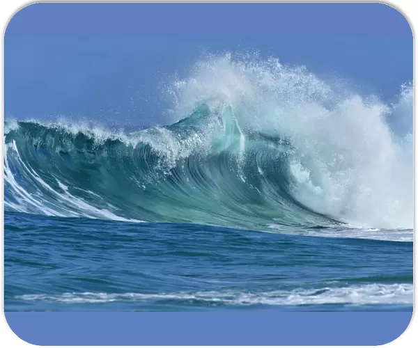 Ocean wave breaking with frothy spray at Oahu, Hawaii, USA