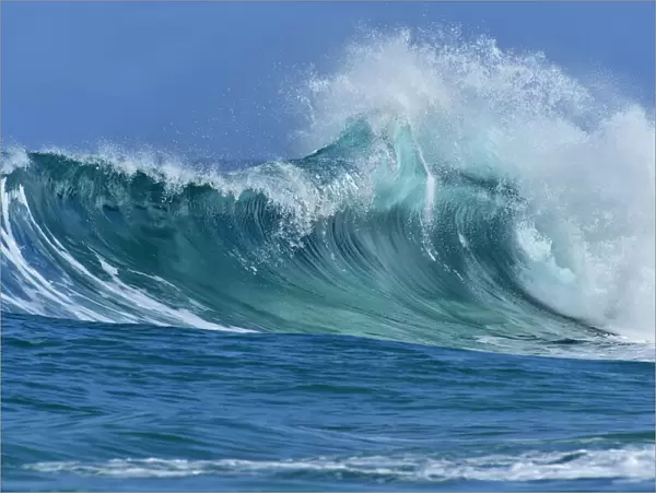 Ocean wave breaking with frothy spray at Oahu, Hawaii, USA