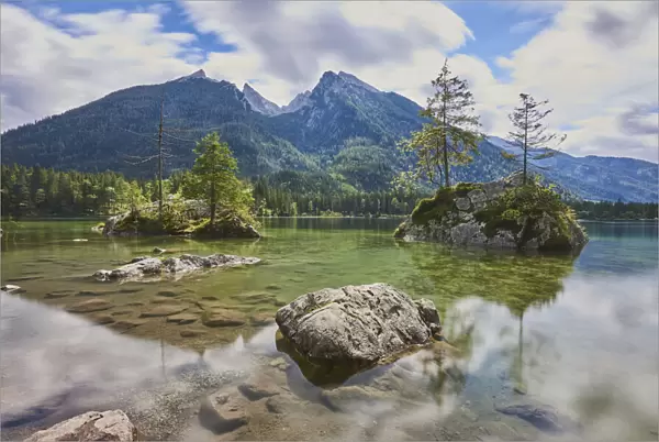 Norway spruce on rock in Lake Hintersee, Nationalpark Berchtesgadener Land, Ramsau, Bavaria, Germany
