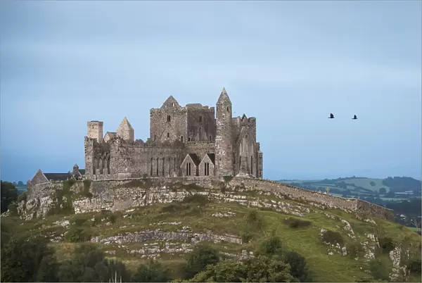 Rock of Cashel on the hilltop with birds flying against the cloudy sky, County Tipperary, Ireland