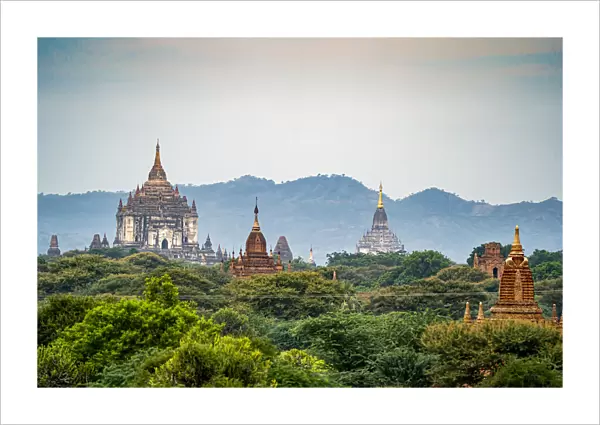 Thatbyinnyu Temple and Pagodas, Bagan, Myanmar (Burma)