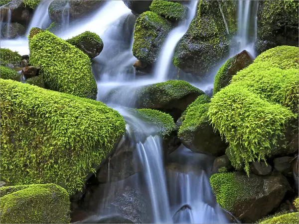 Close-up of moss-covered rocks with a cascading waterfall, Hawaii, USA