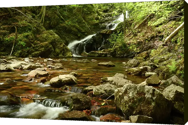 Macintosh Brook Waterfalls Waterfalls Cascades