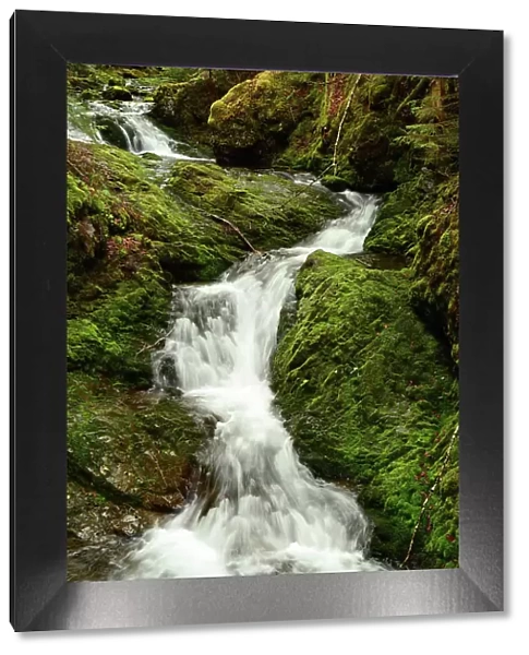 Dickson Falls Waterfalls Cascades Scenic Views