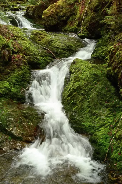 Dickson Falls Waterfalls Cascades Scenic Views