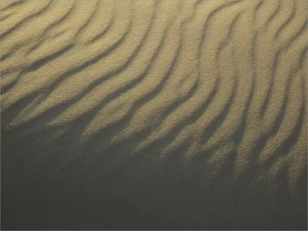 Lines in the sand at the last light of the day, Noord-Holland, The Netherlands