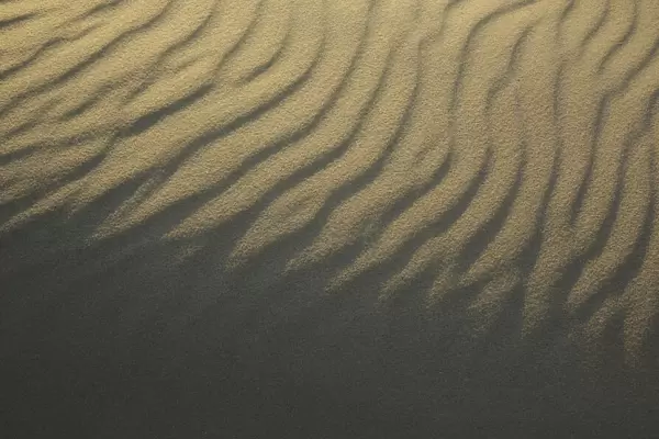 Lines in the sand at the last light of the day, Noord-Holland, The Netherlands