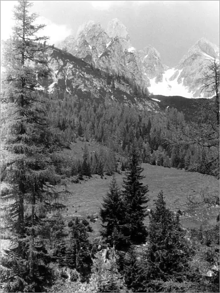 The Bischofsmutze Peaks near Filzmoos, Austria. P000167 Circa 1950
