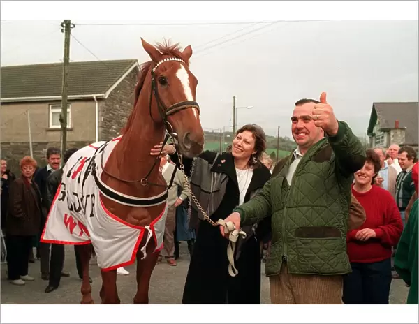 Cheltenham Gold Cup winner Nortons Coin during celebrations in his village after the race