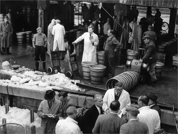 The days catch being auction at Hulls Fish Dock at St Andrews Dock. Circa 1956