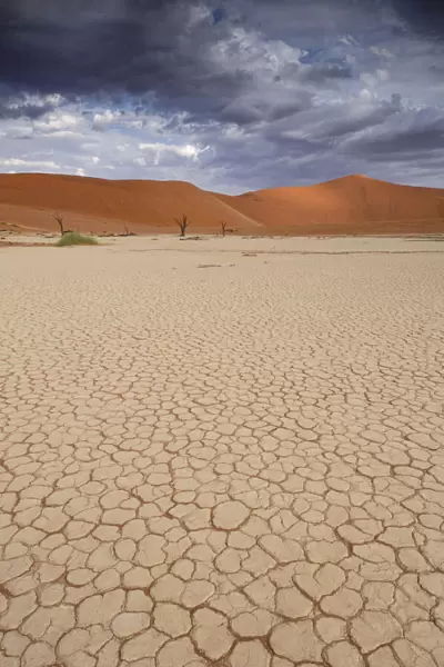 Dead Vlei, Sand Dunes, Sossusvlei area, Namib Naukluft National Park