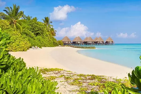 Tropical beach at Maldives Islands, Ari Atoll