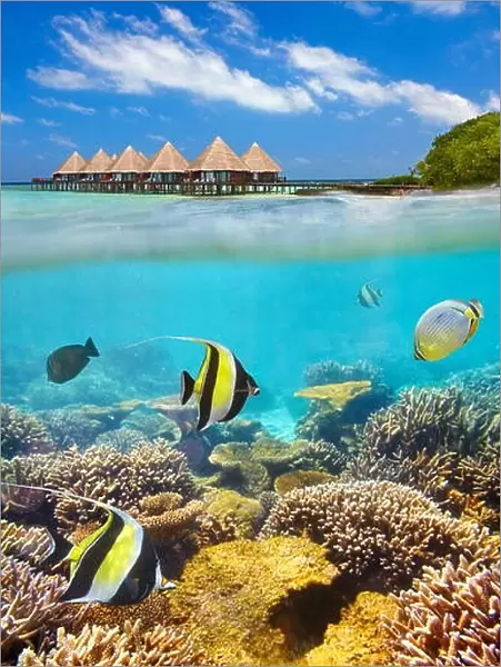 Tropical scenery at Maldives Islands, Ari Atoll