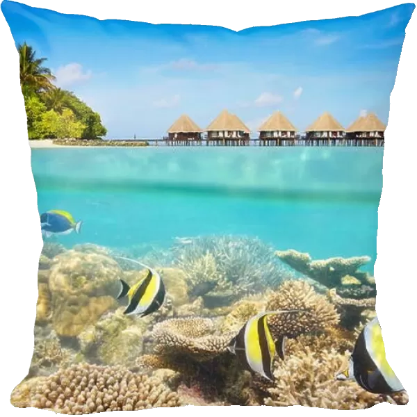 Tropical underwater scenery at Maledives Island