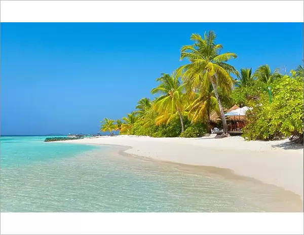Maldives Islands, Ari Atoll, Indian Ocean