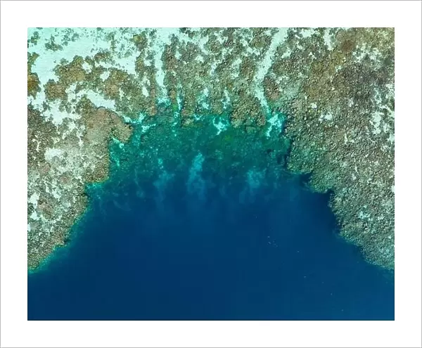 Seen from a bird's eye view, a healthy coral reef thrives in the Solomon Islands. This beautiful country is home to spectacular marine biodiversity