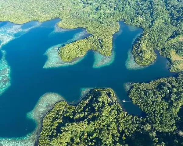 Coral reefs fringe convoluted, tropical islands found in a remote part of the Solomon Islands. This country harbors extraordinary marine biodiversity