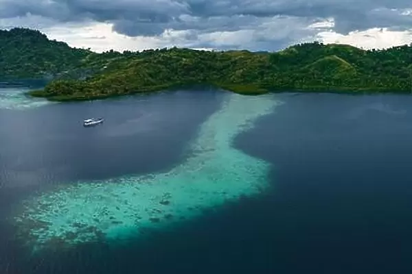 A scenic tropical island is fringed by a healthy coral reef in the Solomon Islands. This beautiful country is home to spectacular marine biodiversity