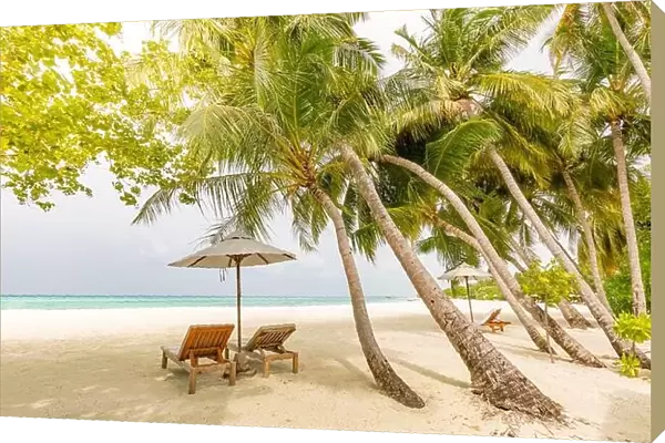 Tropical beach resort island view. Palm trees under soft blur sky