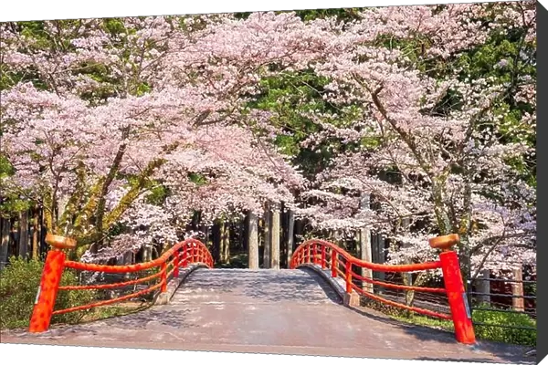 Kamijo, Shizuoka, Japan rural scene with cherry blossoms and a traditional bridge