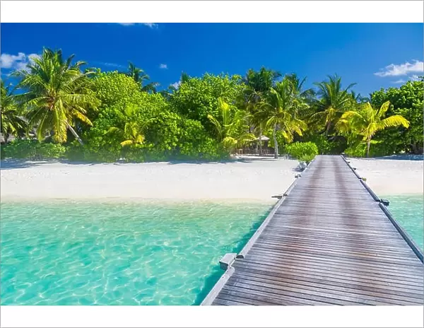 Fantastic beach scene in Maldives island. Palm trees and blue tree with wooden jetty. Luxury vacation and holiday destination. Exotic beach background