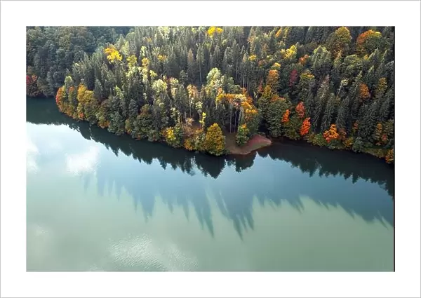 Aerial view on lake with turquoise water in Carpathian Mountains. Autumn forest with orange trees on coast