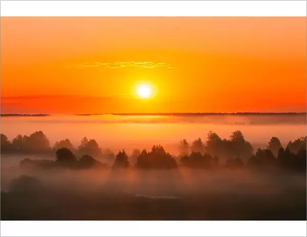 Amazing Sunrise Over Misty Landscape. Scenic View Of Foggy Morning Sky With Rising Sun Above Misty Forest. Middle Summer Nature Of Europe